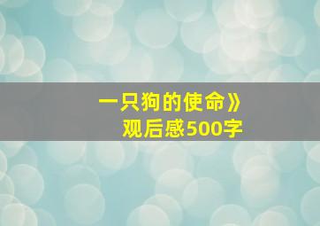 一只狗的使命》观后感500字