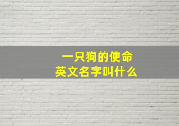 一只狗的使命英文名字叫什么