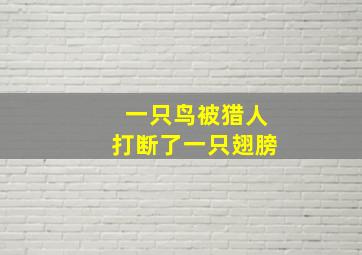 一只鸟被猎人打断了一只翅膀