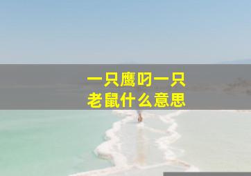 一只鹰叼一只老鼠什么意思