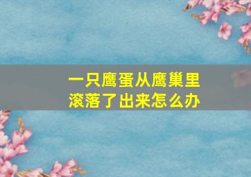 一只鹰蛋从鹰巢里滚落了出来怎么办