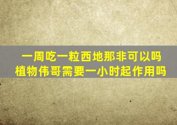 一周吃一粒西地那非可以吗植物伟哥需要一小时起作用吗