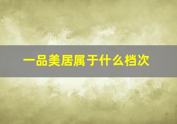 一品美居属于什么档次