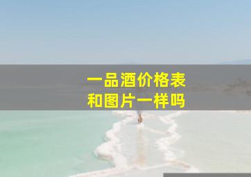 一品酒价格表和图片一样吗