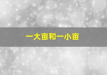 一大亩和一小亩