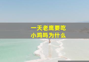 一天老鹰要吃小鸡吗为什么