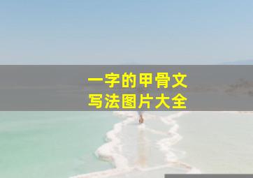 一字的甲骨文写法图片大全