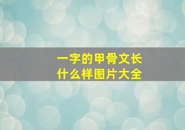 一字的甲骨文长什么样图片大全