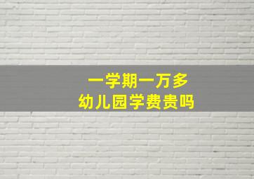 一学期一万多幼儿园学费贵吗