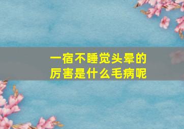 一宿不睡觉头晕的厉害是什么毛病呢