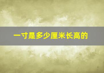 一寸是多少厘米长高的