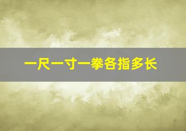 一尺一寸一拳各指多长