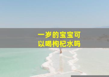 一岁的宝宝可以喝枸杞水吗