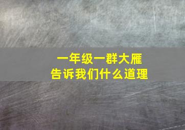 一年级一群大雁告诉我们什么道理