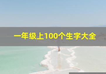 一年级上100个生字大全