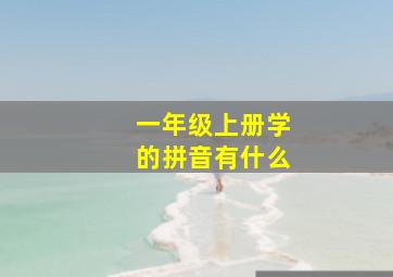 一年级上册学的拼音有什么