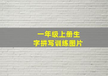 一年级上册生字拼写训练图片