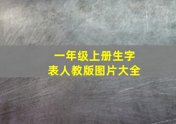 一年级上册生字表人教版图片大全