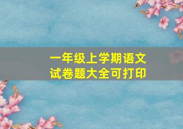 一年级上学期语文试卷题大全可打印