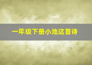 一年级下册小池这首诗