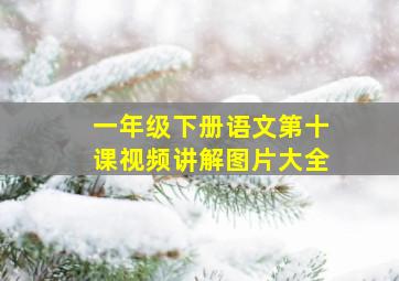 一年级下册语文第十课视频讲解图片大全