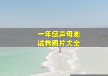 一年级声母测试卷图片大全