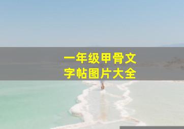 一年级甲骨文字帖图片大全