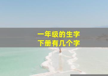 一年级的生字下册有几个字