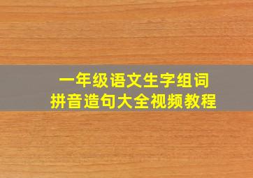 一年级语文生字组词拼音造句大全视频教程