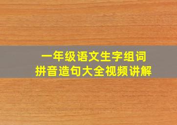 一年级语文生字组词拼音造句大全视频讲解