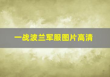 一战波兰军服图片高清