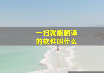 一扫就能翻译的软件叫什么