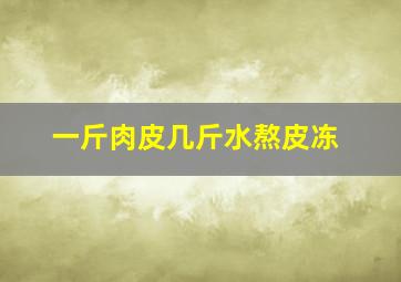 一斤肉皮几斤水熬皮冻