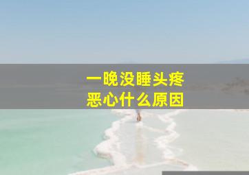 一晚没睡头疼恶心什么原因