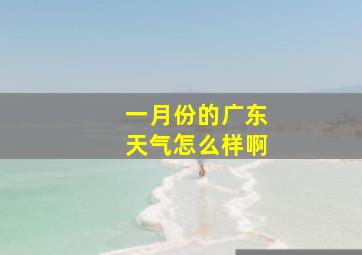 一月份的广东天气怎么样啊