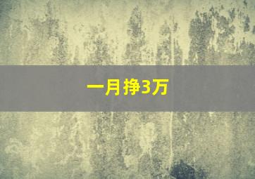 一月挣3万