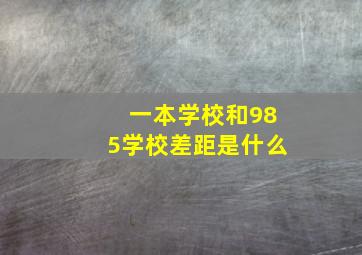 一本学校和985学校差距是什么