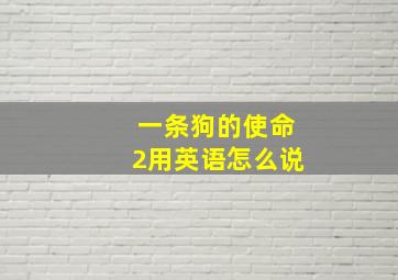 一条狗的使命2用英语怎么说