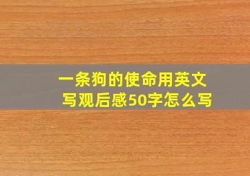 一条狗的使命用英文写观后感50字怎么写