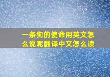 一条狗的使命用英文怎么说呢翻译中文怎么读