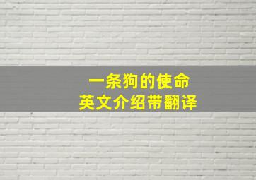 一条狗的使命英文介绍带翻译