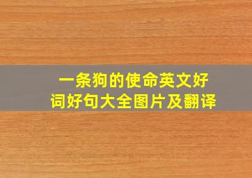 一条狗的使命英文好词好句大全图片及翻译