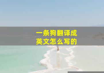 一条狗翻译成英文怎么写的