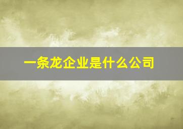 一条龙企业是什么公司