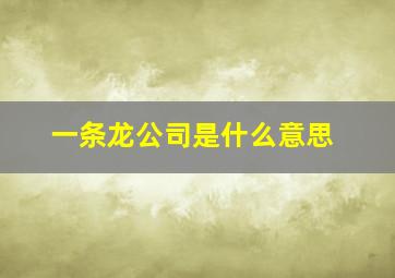 一条龙公司是什么意思