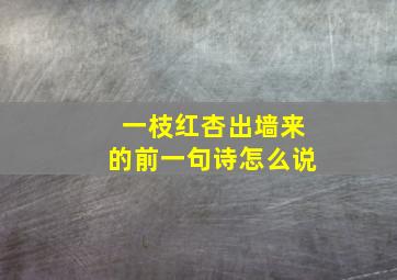 一枝红杏出墙来的前一句诗怎么说