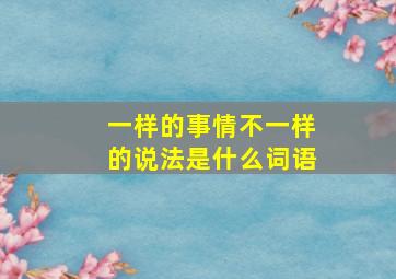 一样的事情不一样的说法是什么词语