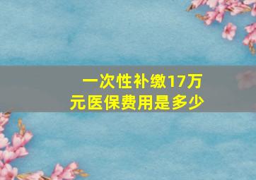 一次性补缴17万元医保费用是多少