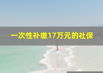 一次性补缴17万元的社保