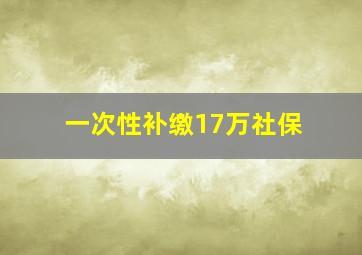 一次性补缴17万社保